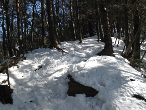 20180209hike (79)